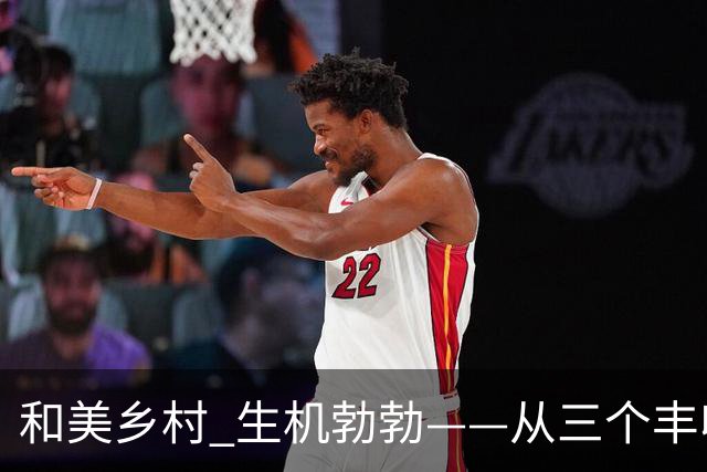 和美乡村 生机勃勃——从三个丰收故事看乡村全面振兴好势头